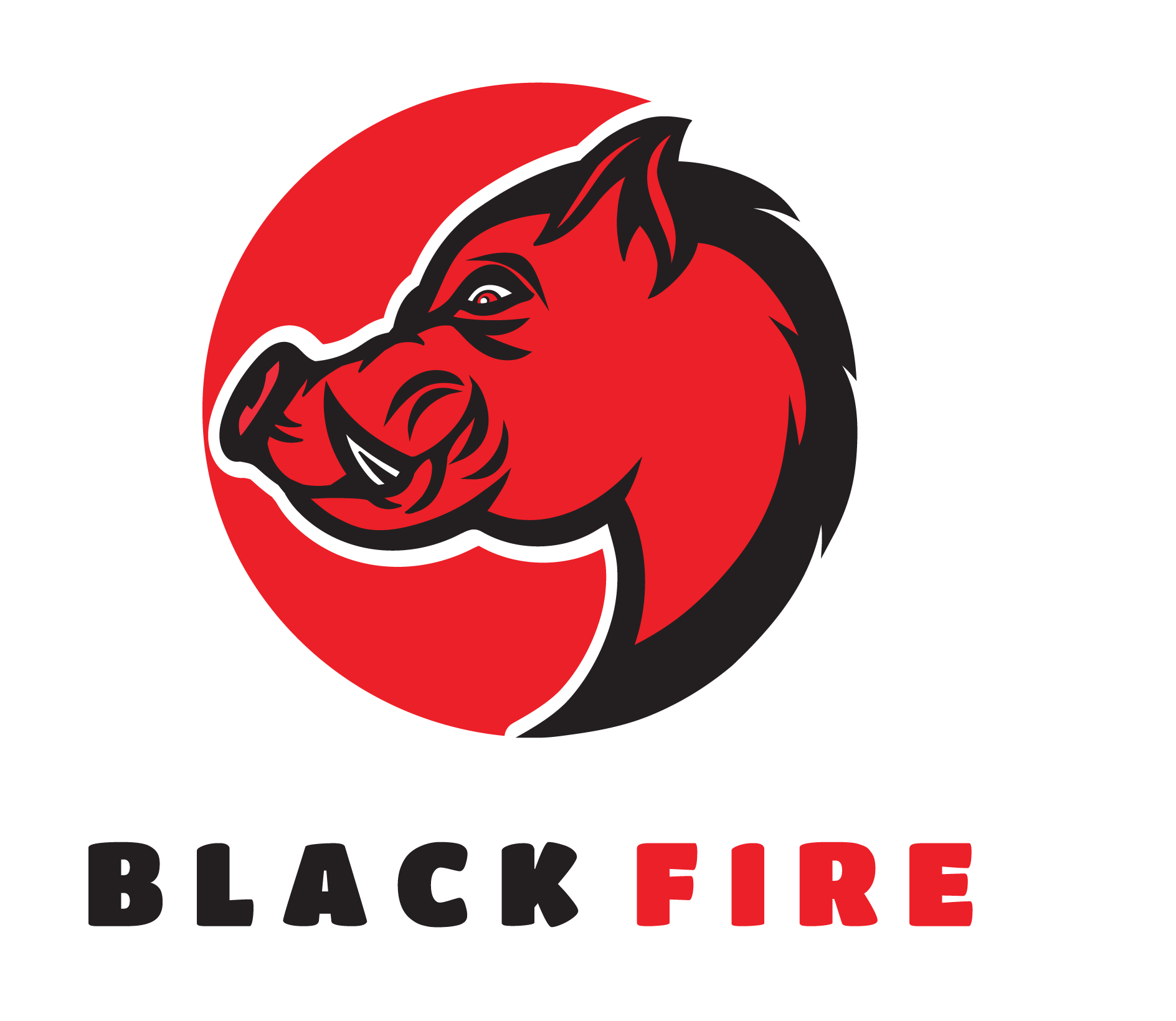 www.blackfire.fi